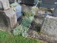 SaintAubinduCormier cimetiere enherbe Bruded (5).JPG